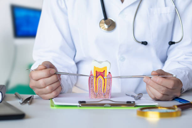 Best Emergency Denture Repair in Indian Hills, TX